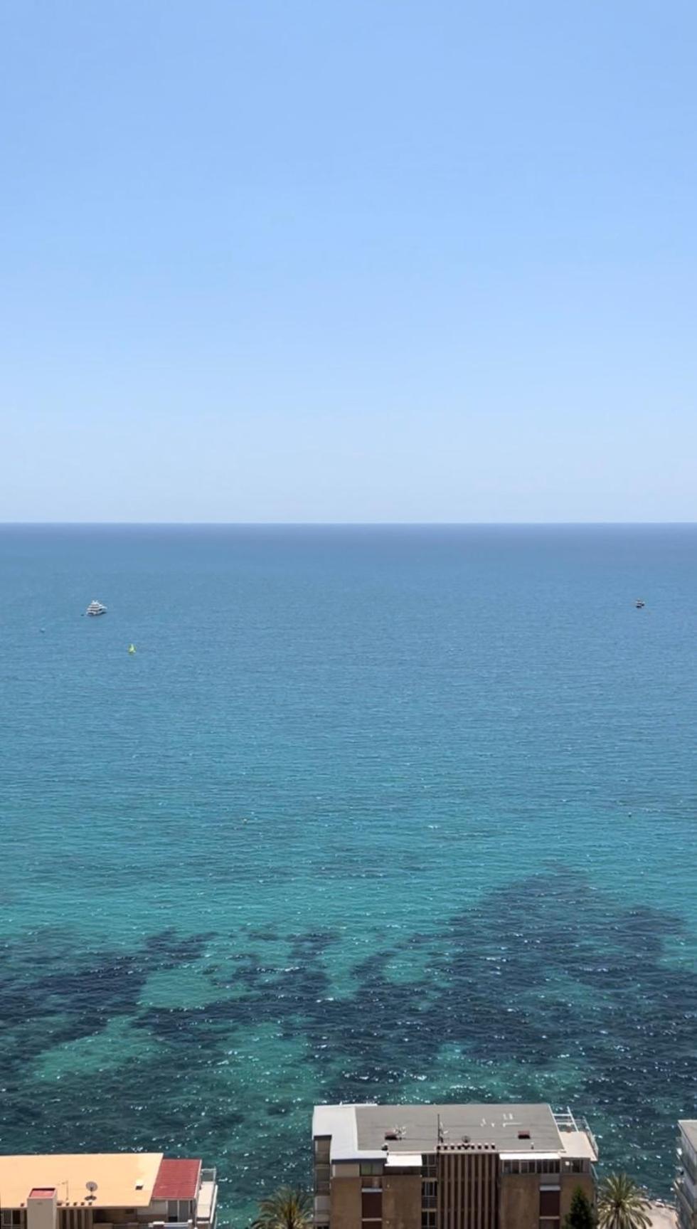 Albufereta 1Bd Apartment Alicante Eksteriør bilde